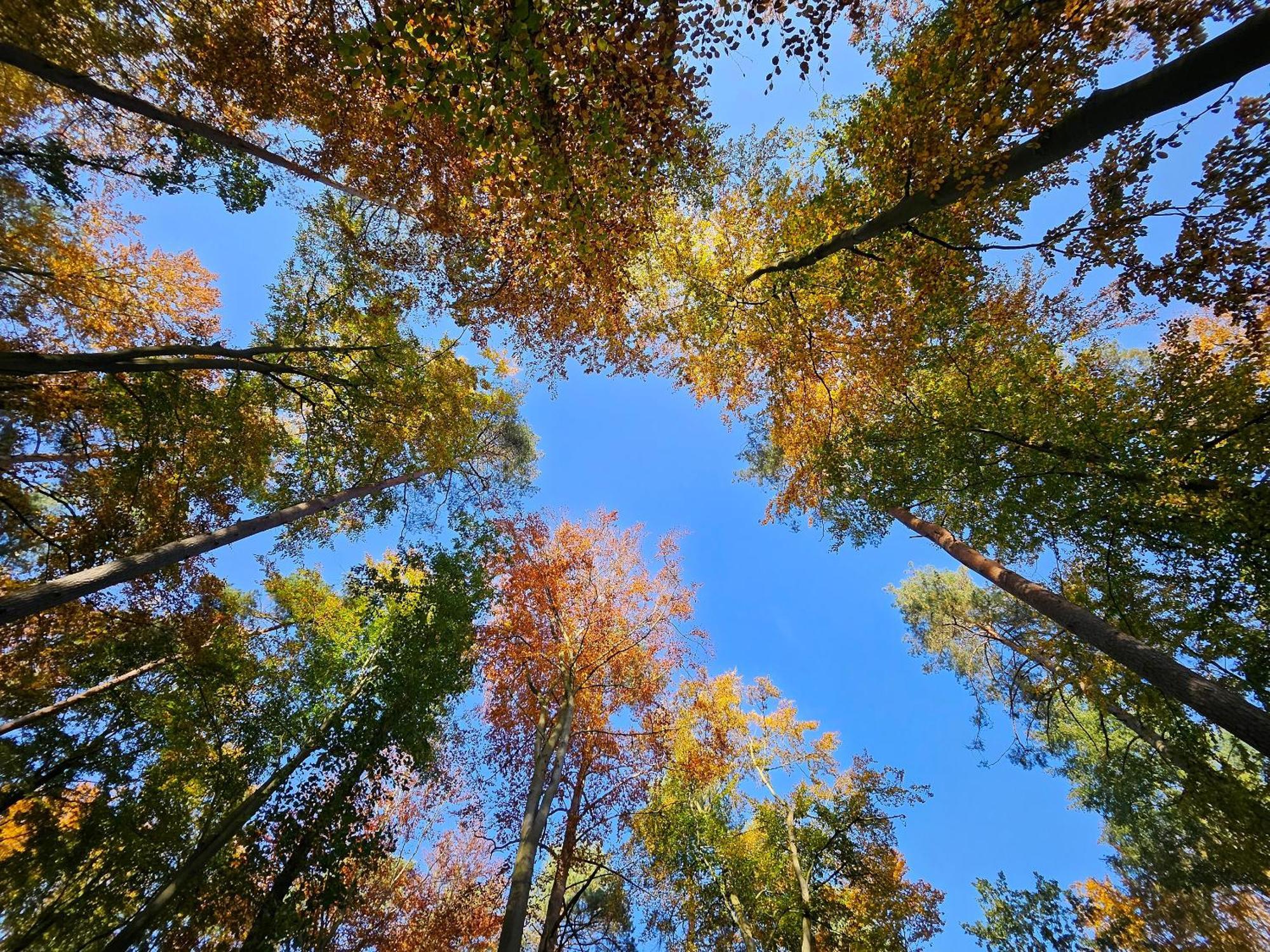 Fewo Am Wald Boek Exterior photo